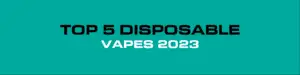 top 5 disposable vapes 2023
